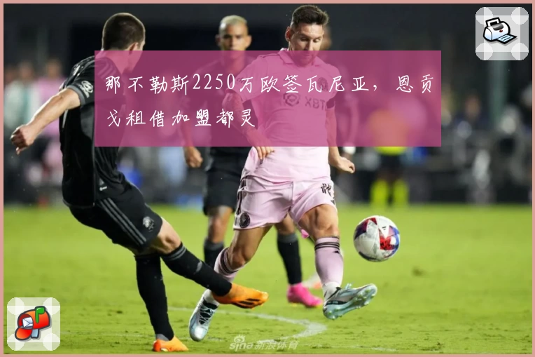 那不勒斯2250万欧签瓦尼亚，恩贡戈租借加盟都灵