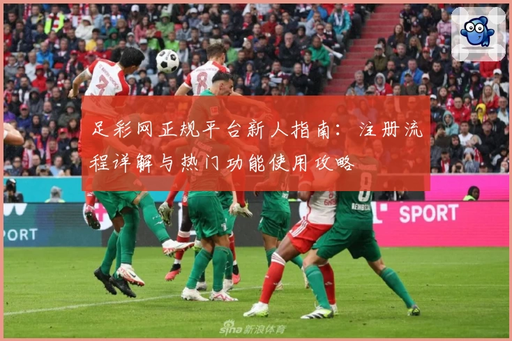 足彩网正规平台新人指南：注册流程详解与热门功能使用攻略
