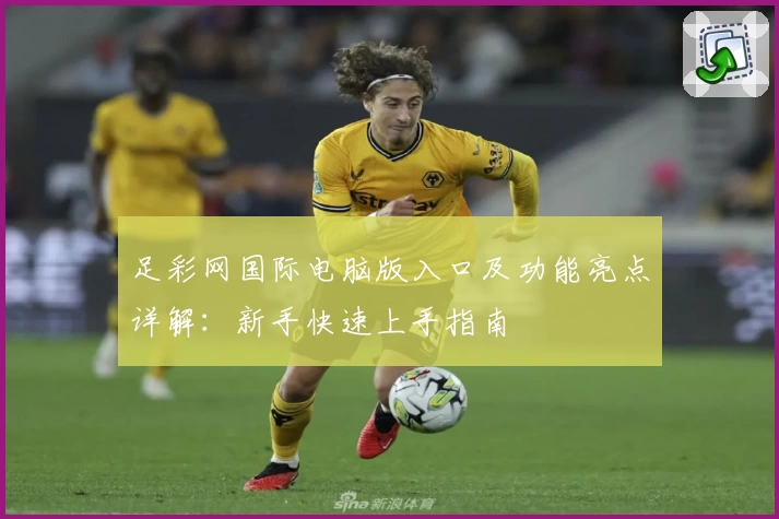 足彩网国际电脑版入口及功能亮点详解：新手快速上手指南